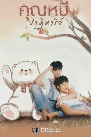 Teddy, el milagro del oso