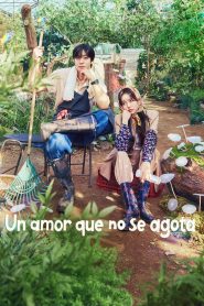 Un amor que no se agota